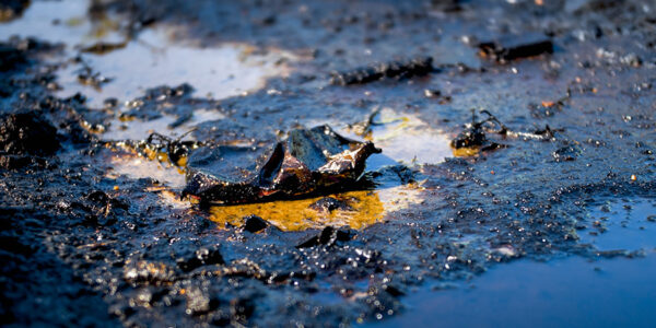 Managing Environmental Cleanup Following Petroleum Releases