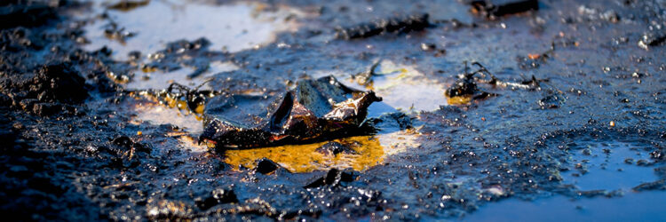Managing Environmental Cleanup Following Petroleum Releases