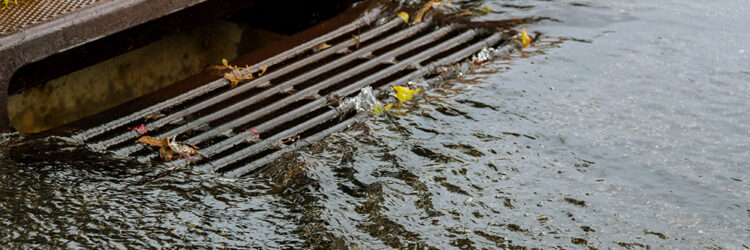 Stormwater Pollution Prevention Plans: What Businesses Need to Know
